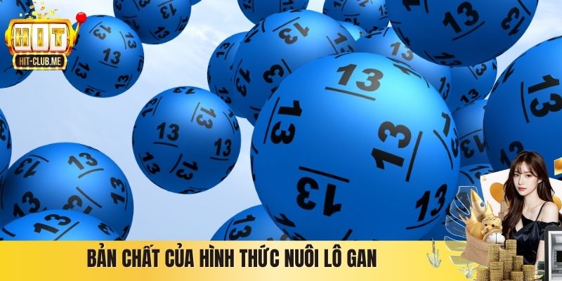 Bản chất của hình thức nuôi lô gan